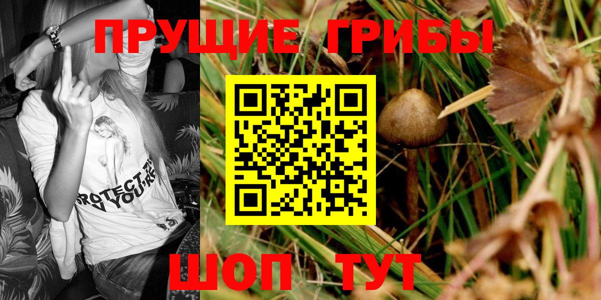Псилоцибиновые грибы Cubensis Батайск
