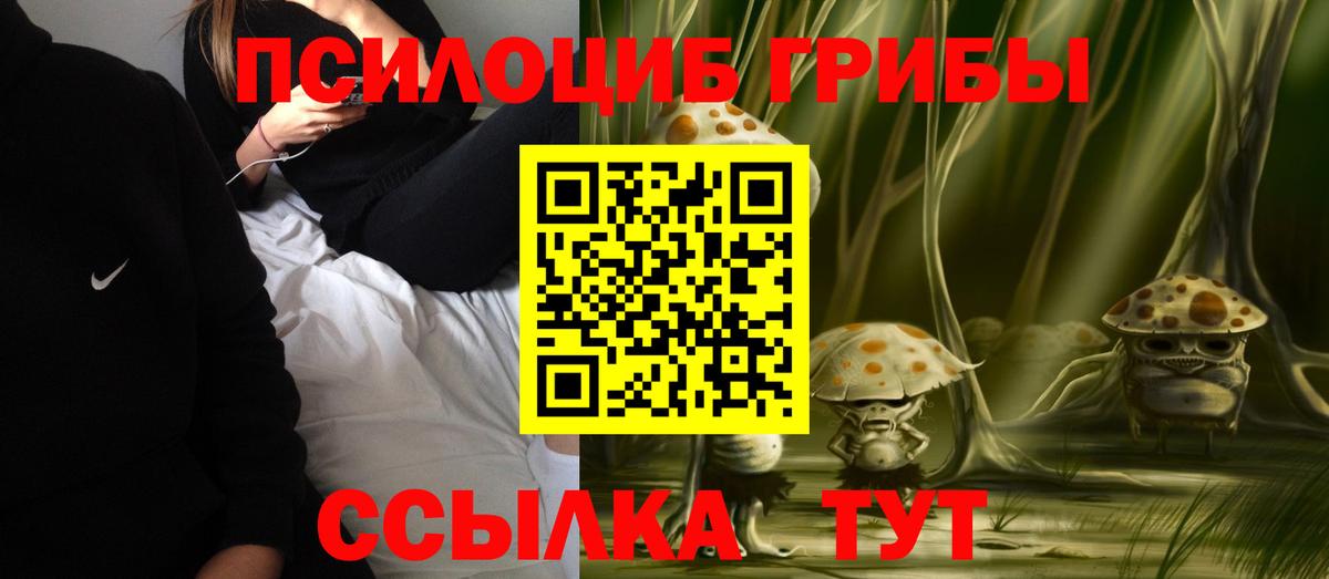 Батайск  Галлюциногенные грибы Psilocybine cubensis  Галлюциногенные грибы Psilocybe  Вход с VPN 